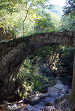 Διπόταμα Μικρό γεφύρι ανάμεσα Διπόταμα – Τραχώνι
